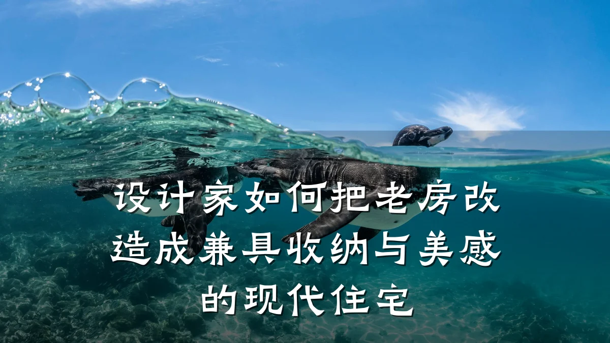 设计家如何把老房改造成兼具收纳与美感的现代住宅