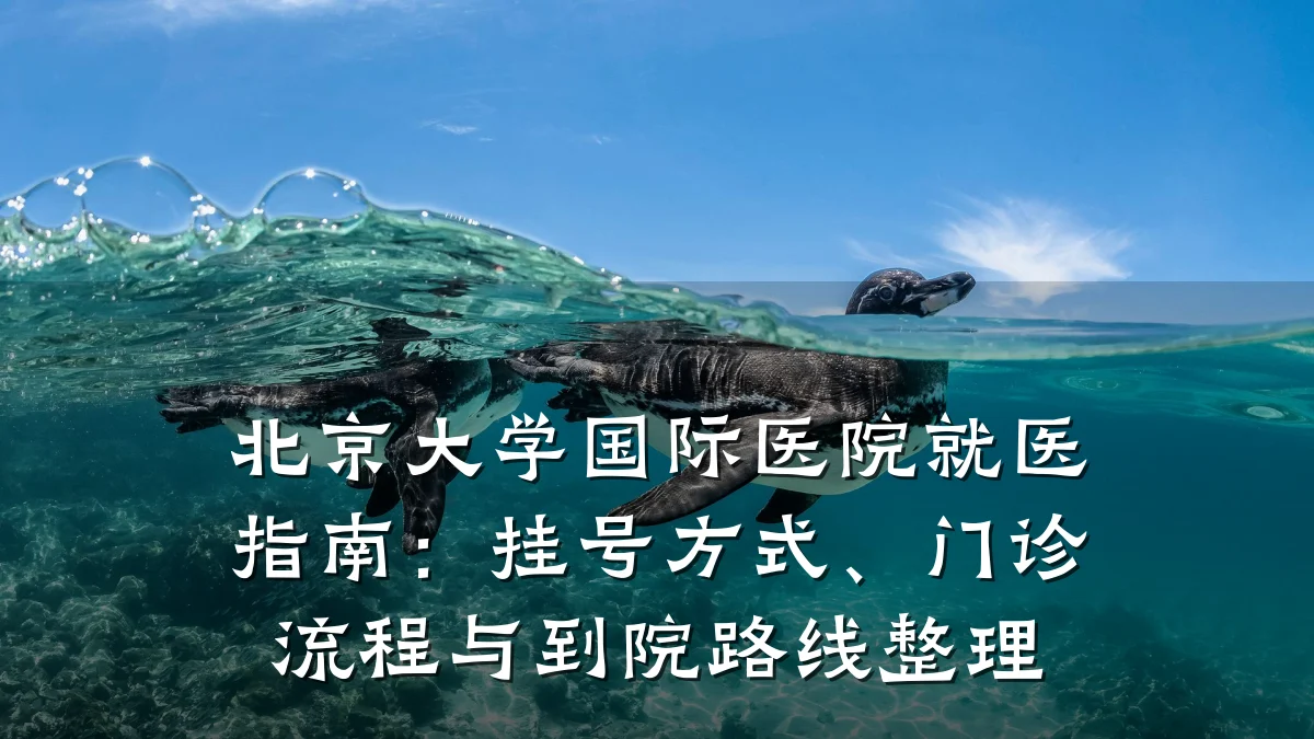 北京大学国际医院就医指南：挂号方式、门诊流程与到院路线整理