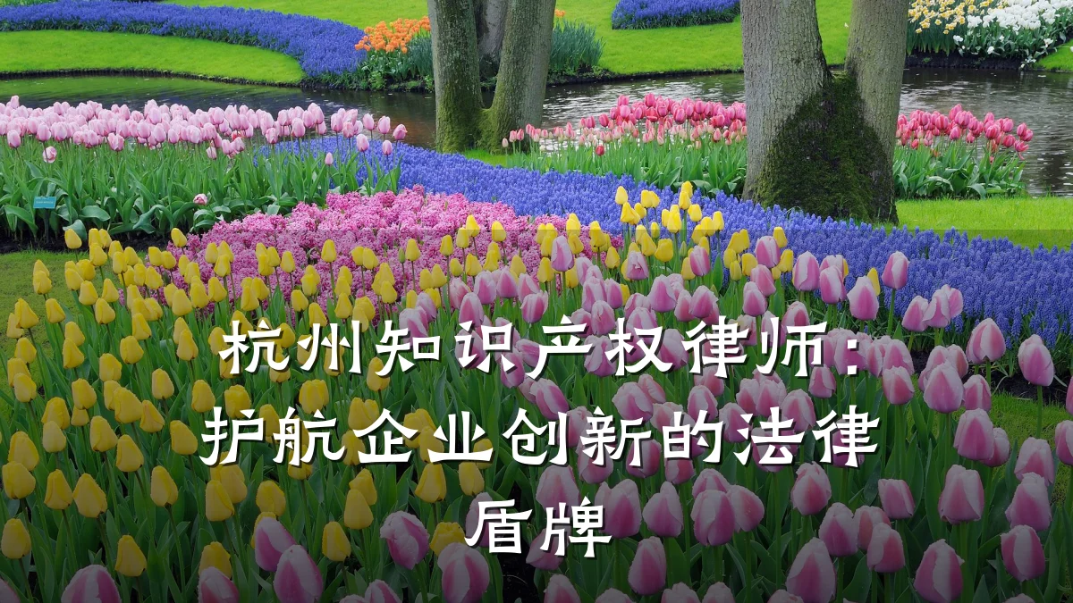 杭州知识产权律师:护航企业创新的法律盾牌