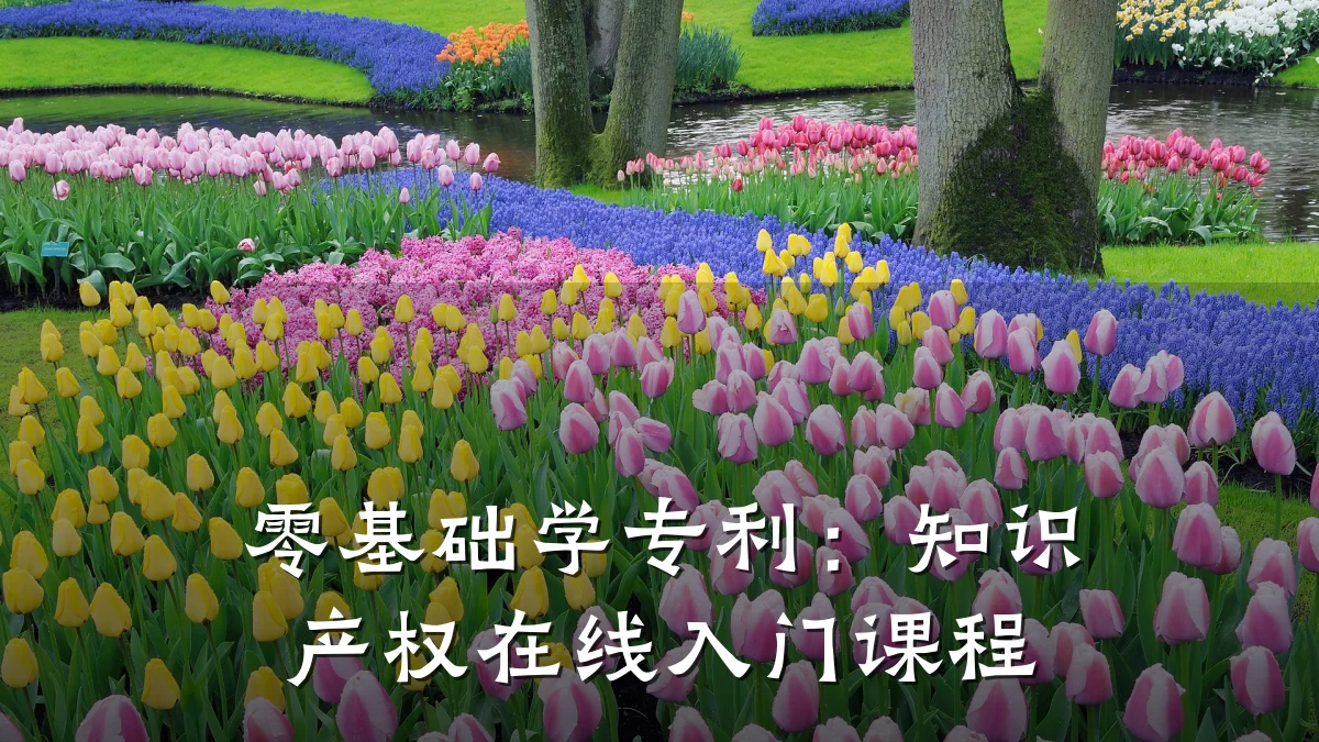 零基础学专利:知识产权在线入门课程