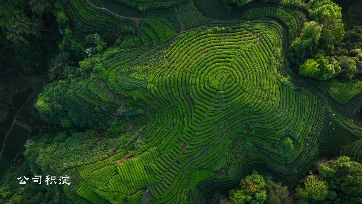 公司积淀