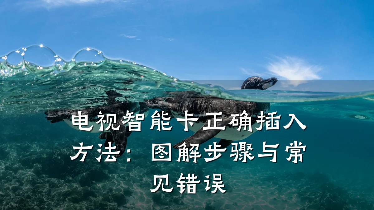 电视智能卡正确插入方法:图解步骤与常见错误