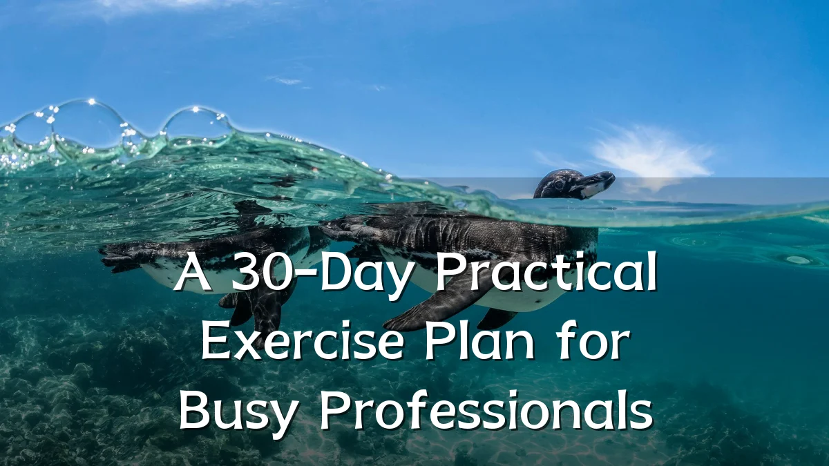 A 30-Day Practical Exercise Plan for Busy Professionals