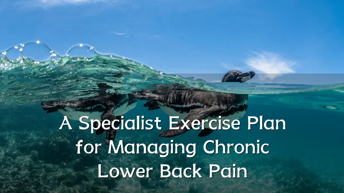A Specialist Exercise Plan for Managing Chronic Lower Back Pain