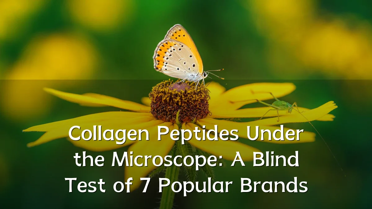 Collagen Peptides Under the Microscope: A Blind Test of 7 Popular Brands