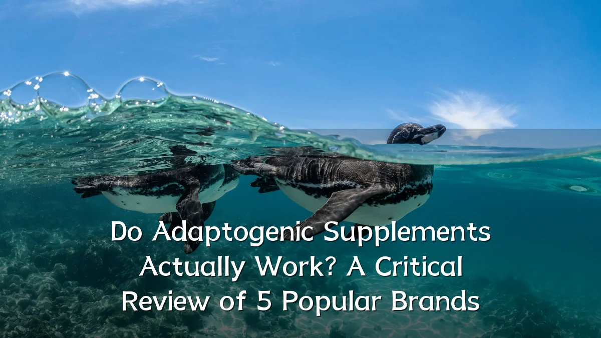 Do Adaptogenic Supplements Actually Work? A Critical Review of 5 Popular Brands