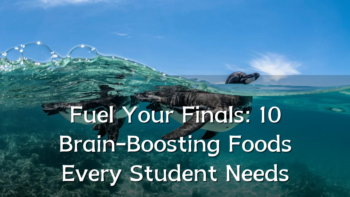 Fuel Your Finals: 10 Brain-Boosting Foods Every Student Needs