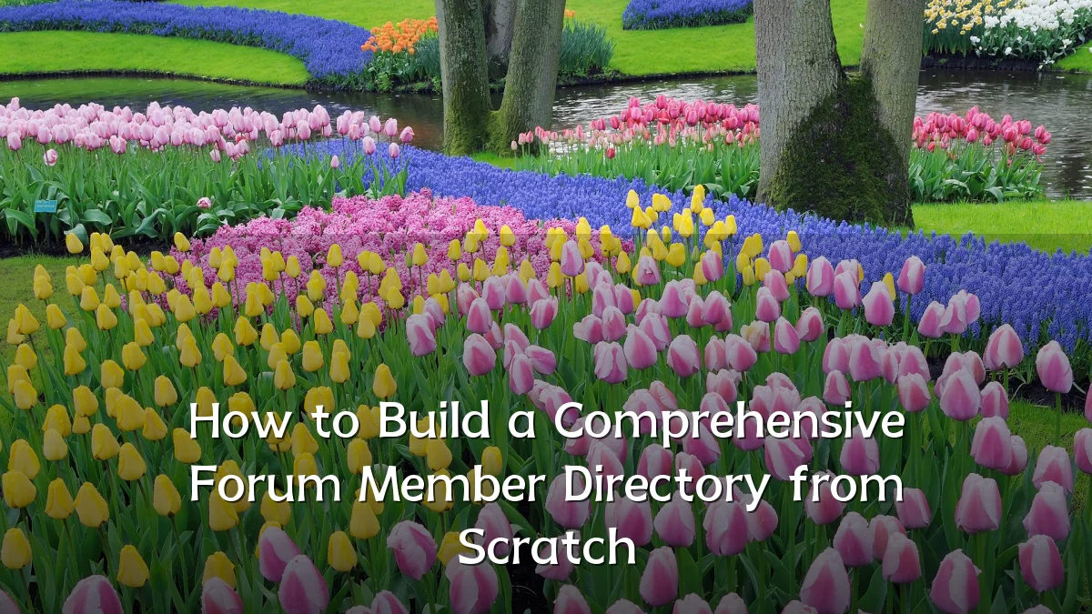 How to Build a Comprehensive Forum Member Directory from Scratch