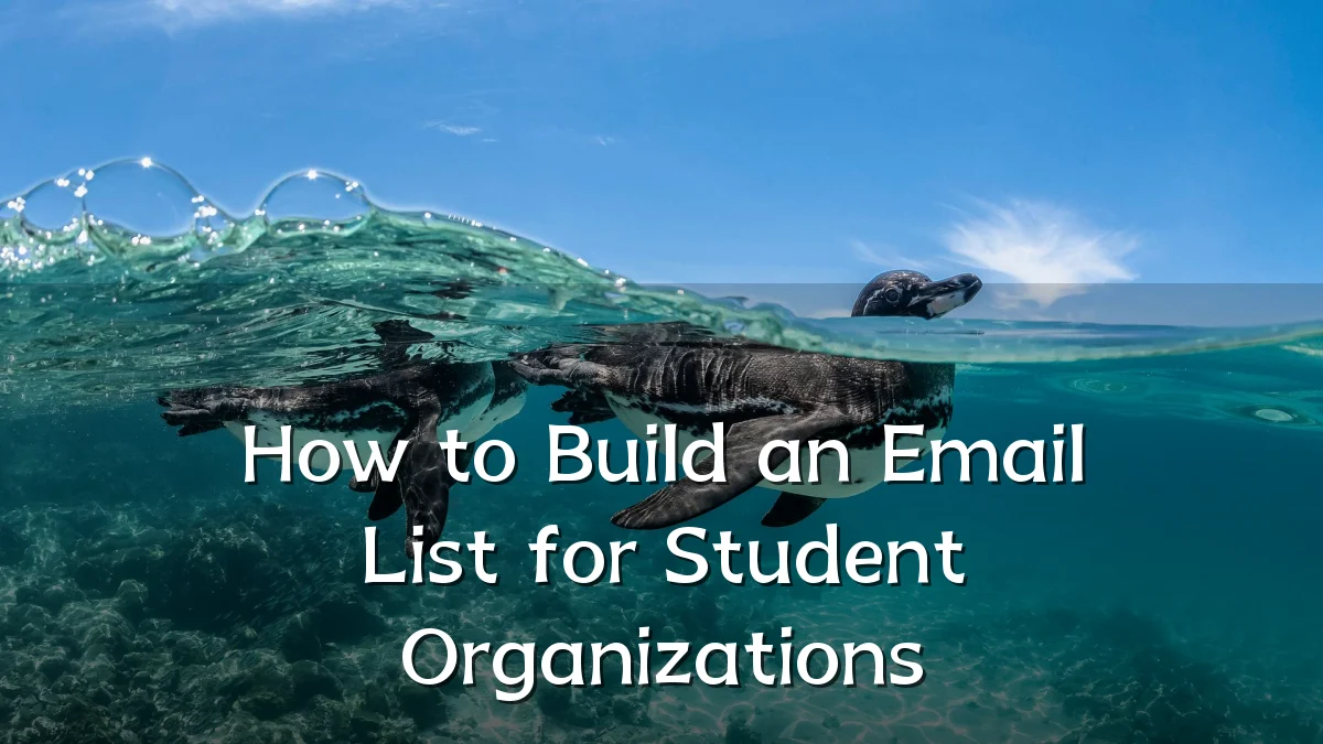 How to Build an Email List for Student Organizations