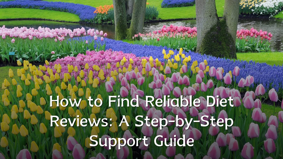 How to Find Reliable Diet Reviews: A Step-by-Step Support Guide