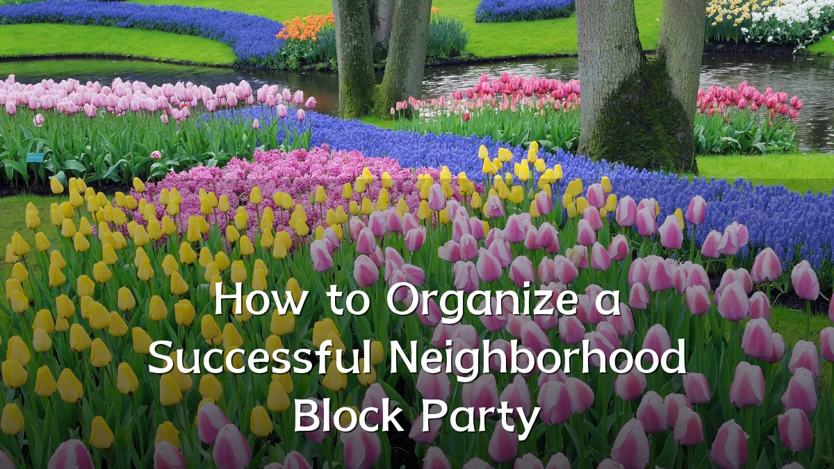 How to Organize a Successful Neighborhood Block Party