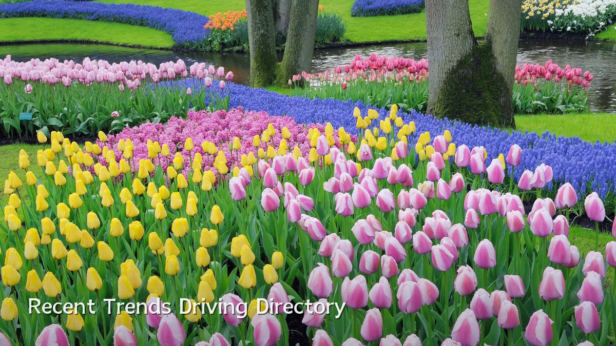 Recent Trends Driving Directory