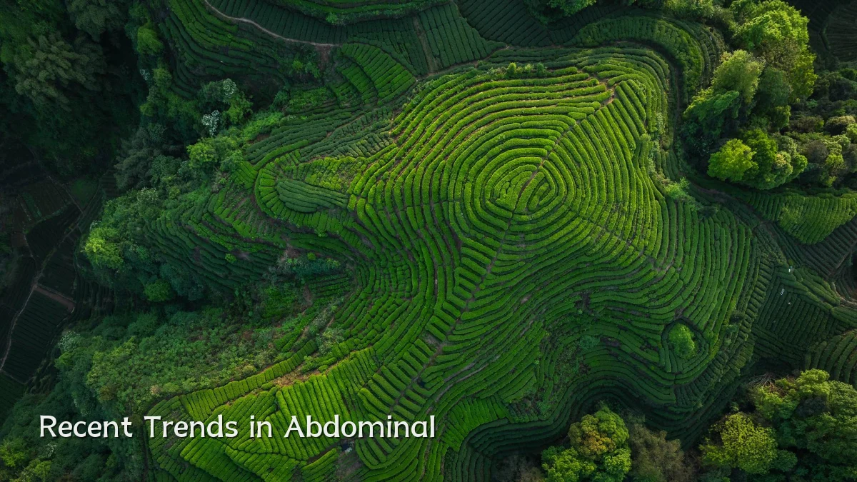 Recent Trends in Abdominal