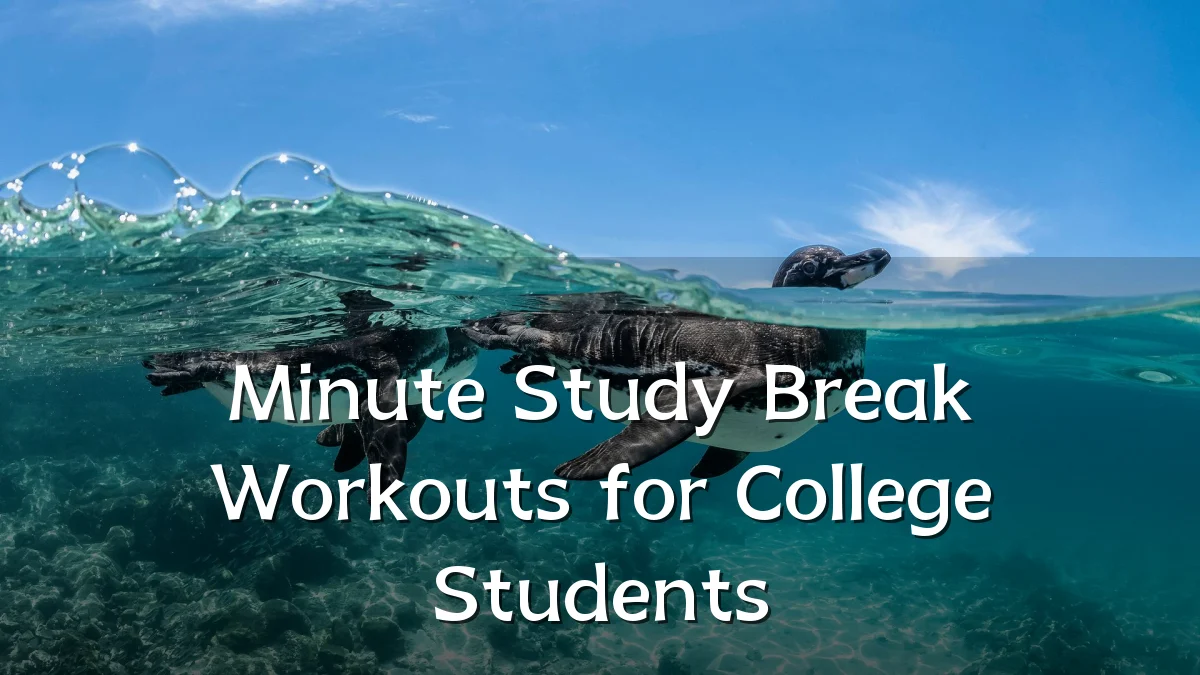 Minute Study Break Workouts for College Students