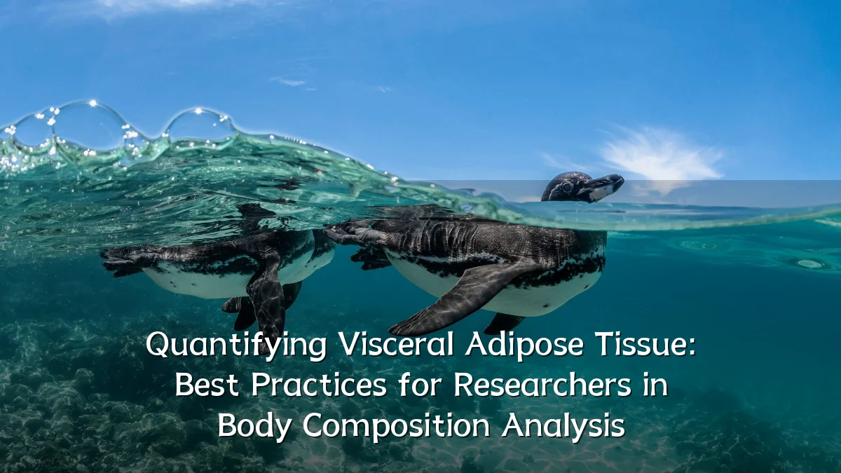 Quantifying Visceral Adipose Tissue: Best Practices for Researchers in Body Composition Analysis