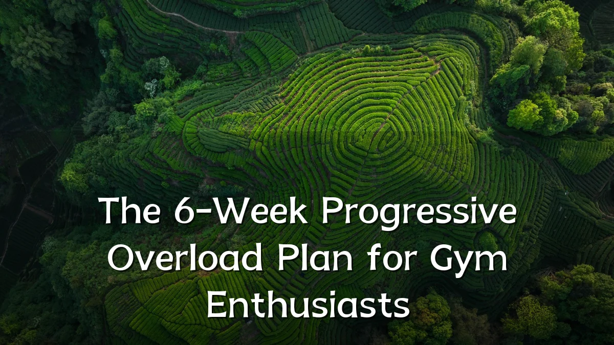 The 6-Week Progressive Overload Plan for Gym Enthusiasts