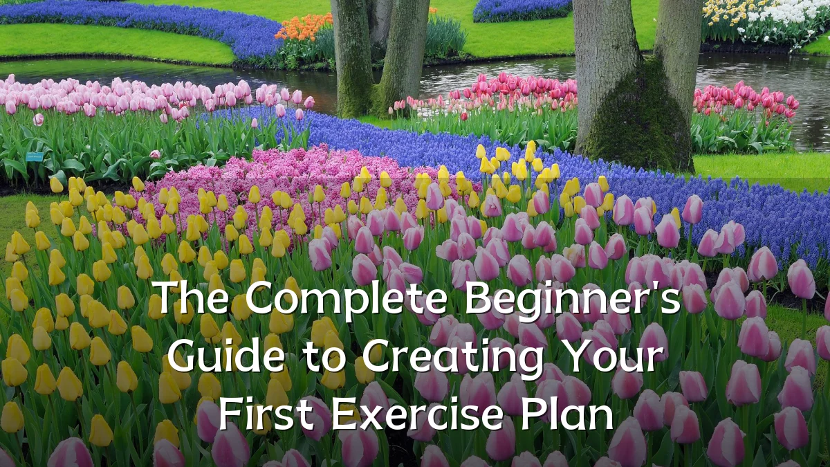The Complete Beginner's Guide to Creating Your First Exercise Plan