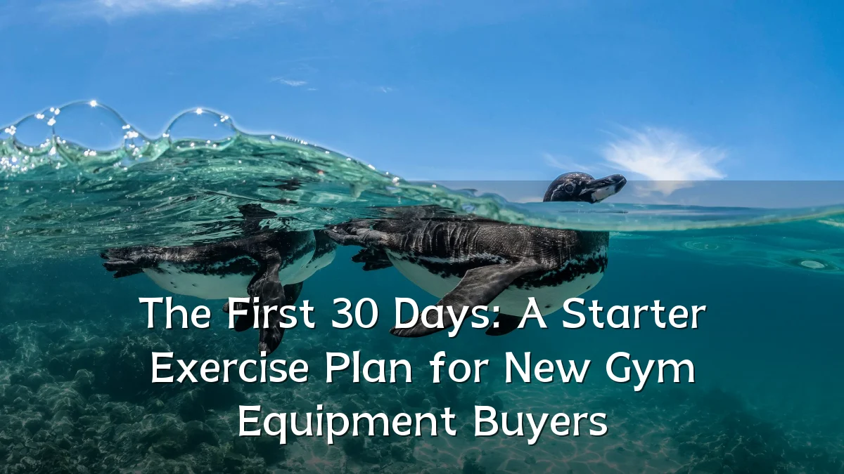 The First 30 Days: A Starter Exercise Plan for New Gym Equipment Buyers