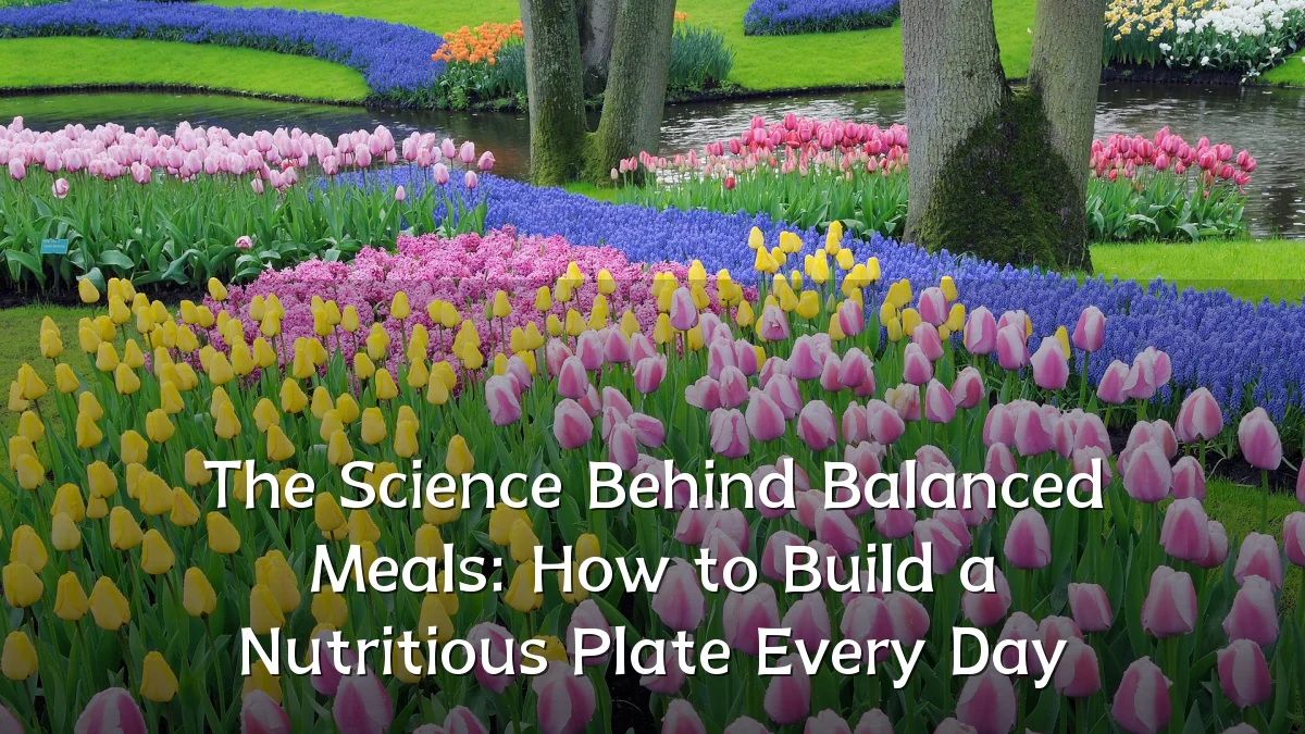 The Science Behind Balanced Meals: How to Build a Nutritious Plate Every Day