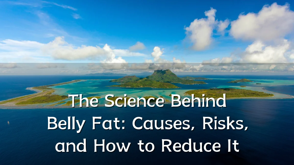 The Science Behind Belly Fat: Causes, Risks, and How to Reduce It