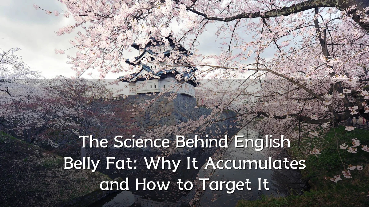 The Science Behind English Belly Fat: Why It Accumulates and How to Target It