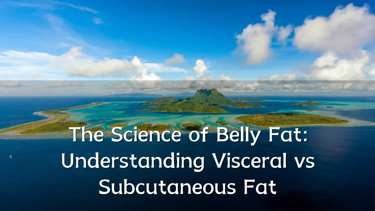 The Science of Belly Fat: Understanding Visceral vs Subcutaneous Fat