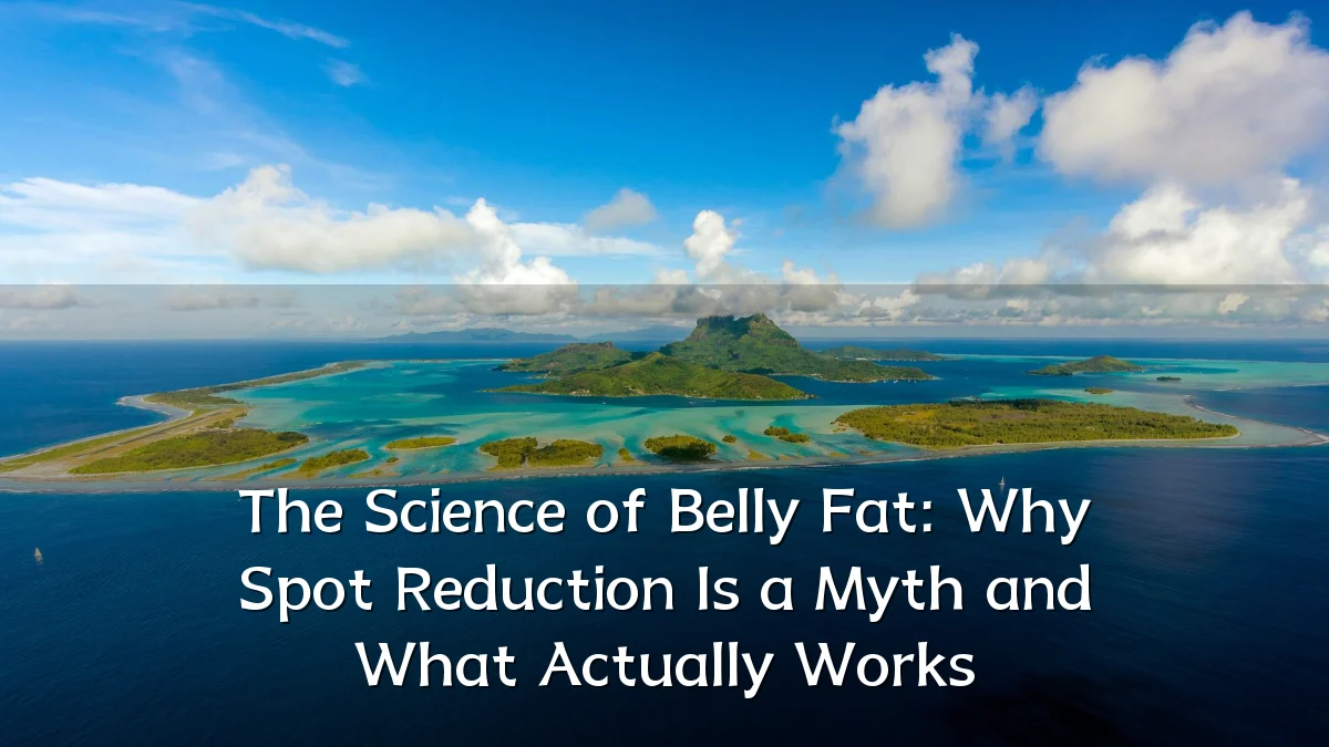 The Science of Belly Fat: Why Spot Reduction Is a Myth and What Actually Works