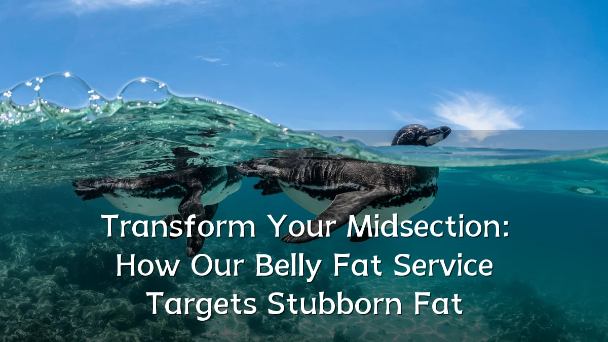 Transform Your Midsection: How Our Belly Fat Service Targets Stubborn Fat