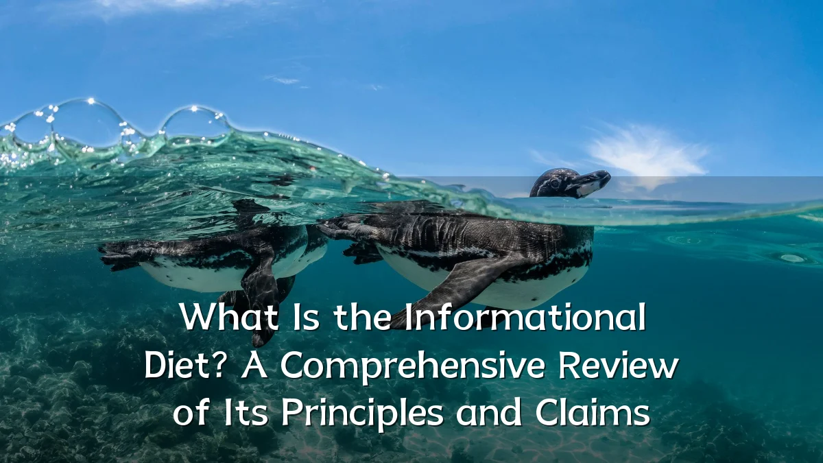What Is the Informational Diet? A Comprehensive Review of Its Principles and Claims