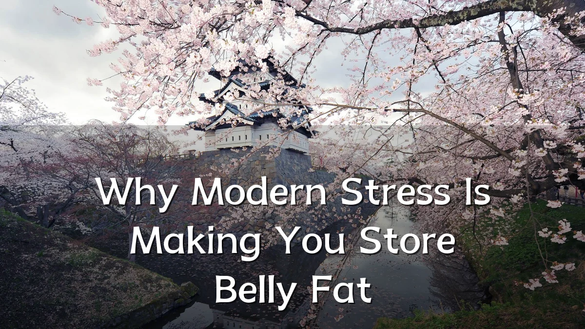 Why Modern Stress Is Making You Store Belly Fat