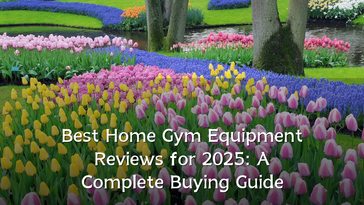 Best Home Gym Equipment Reviews for 2025: A Complete Buying Guide
