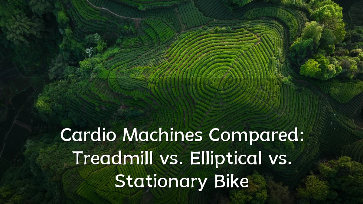 Cardio Machines Compared: Treadmill vs. Elliptical vs. Stationary Bike