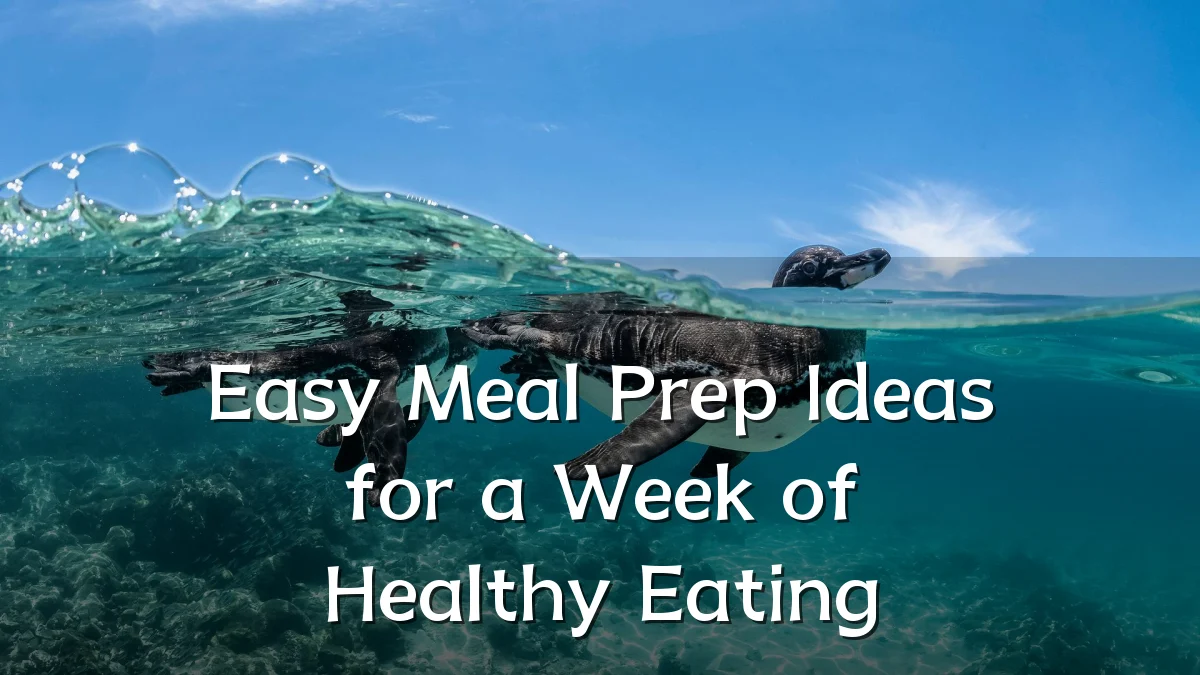Easy Meal Prep Ideas for a Week of Healthy Eating