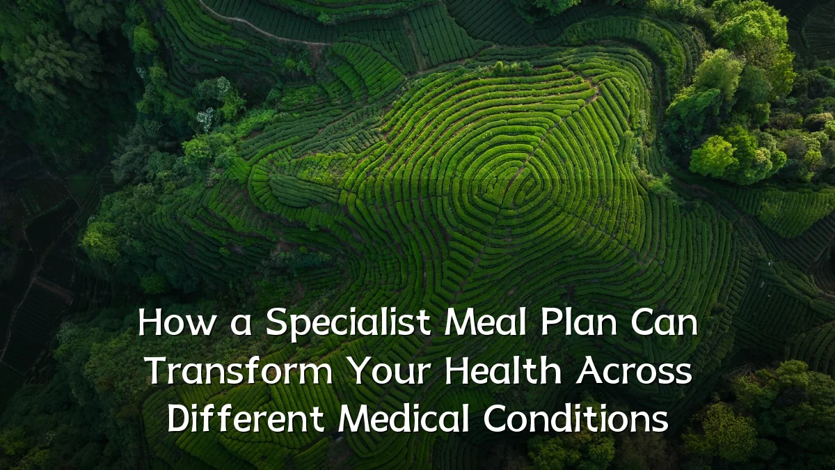 How a Specialist Meal Plan Can Transform Your Health Across Different Medical Conditions
