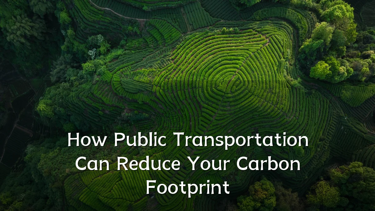 How Public Transportation Can Reduce Your Carbon Footprint