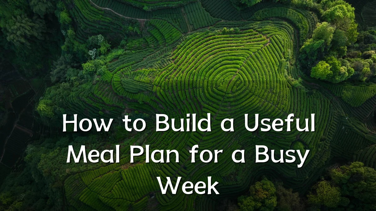 How to Build a Useful Meal Plan for a Busy Week