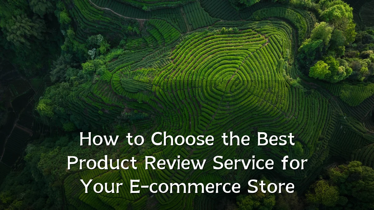 How to Choose the Best Product Review Service for Your E-commerce Store