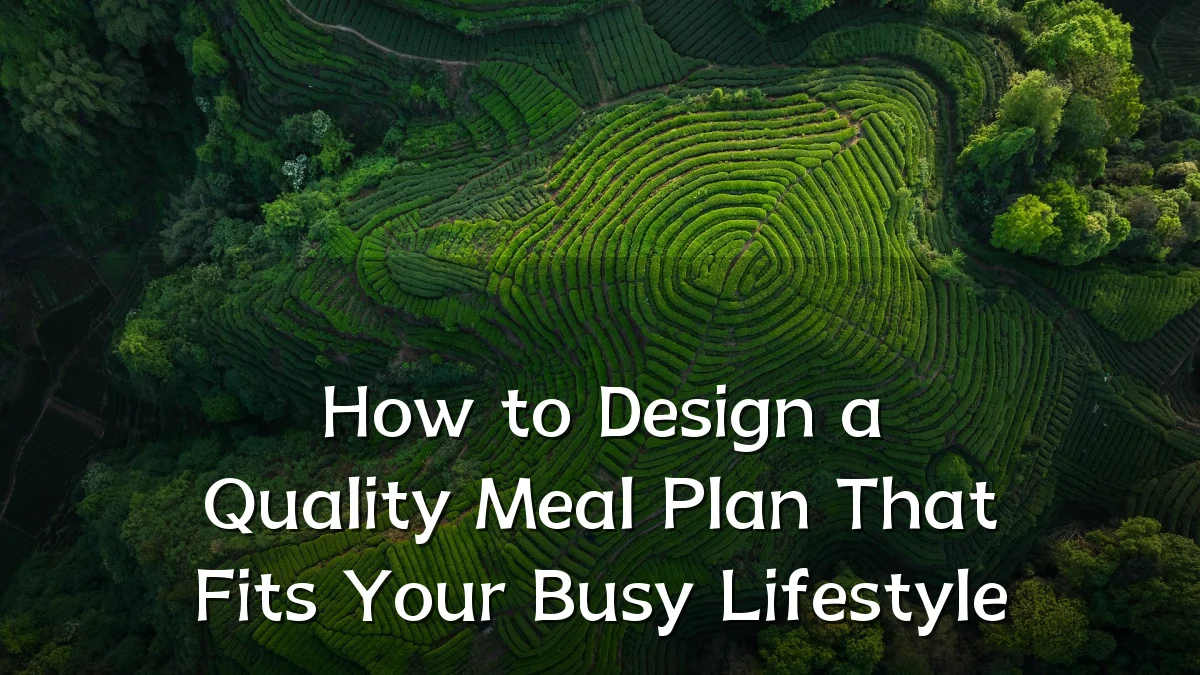 How to Design a Quality Meal Plan That Fits Your Busy Lifestyle