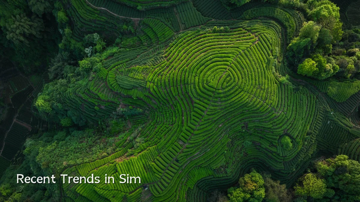 Recent Trends in Sim