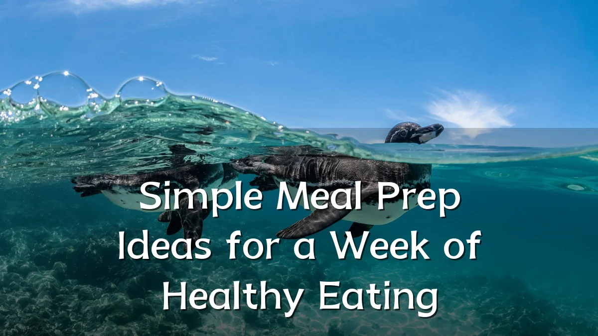 Simple Meal Prep Ideas for a Week of Healthy Eating