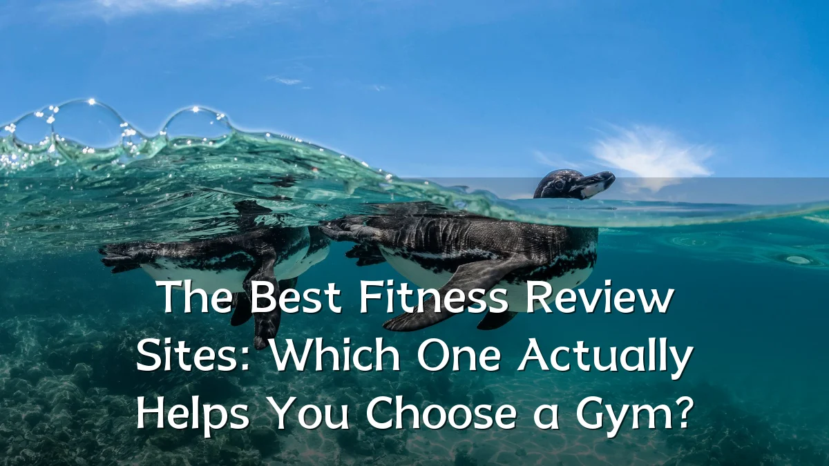 The Best Fitness Review Sites: Which One Actually Helps You Choose a Gym?