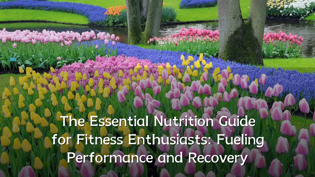 The Essential Nutrition Guide for Fitness Enthusiasts: Fueling Performance and Recovery