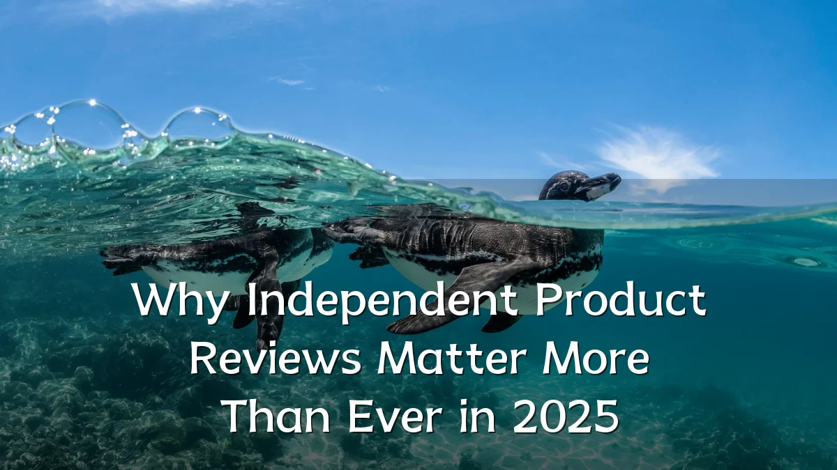Why Independent Product Reviews Matter More Than Ever in 2025