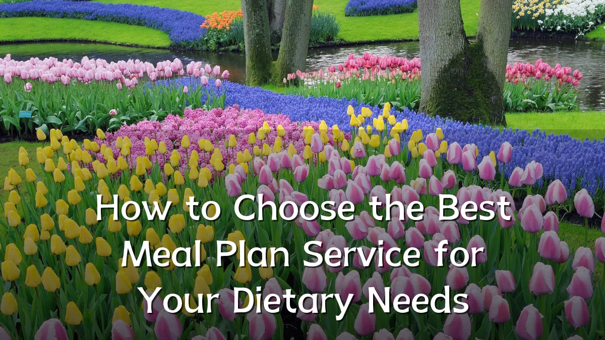 How to Choose the Best Meal Plan Service for Your Dietary Needs