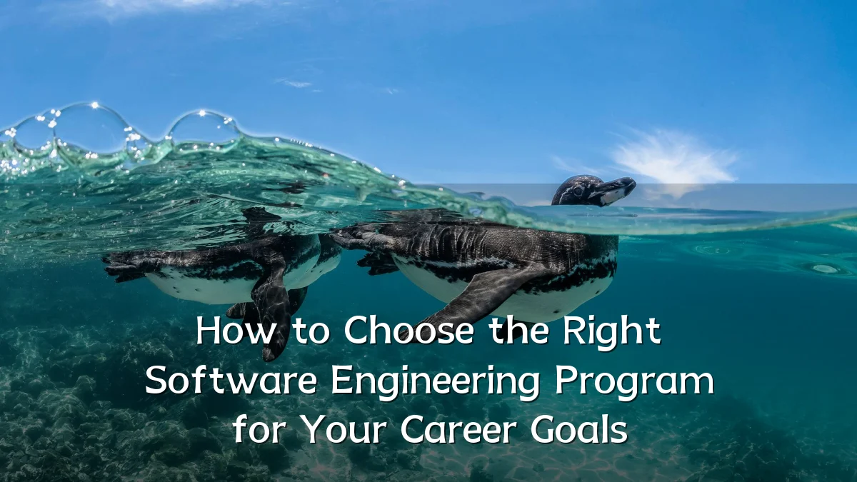 How to Choose the Right Software Engineering Program for Your Career Goals