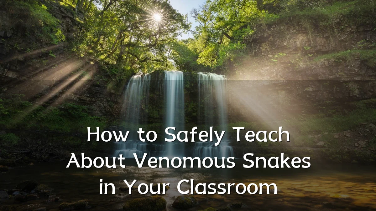 How to Safely Teach About Venomous Snakes in Your Classroom
