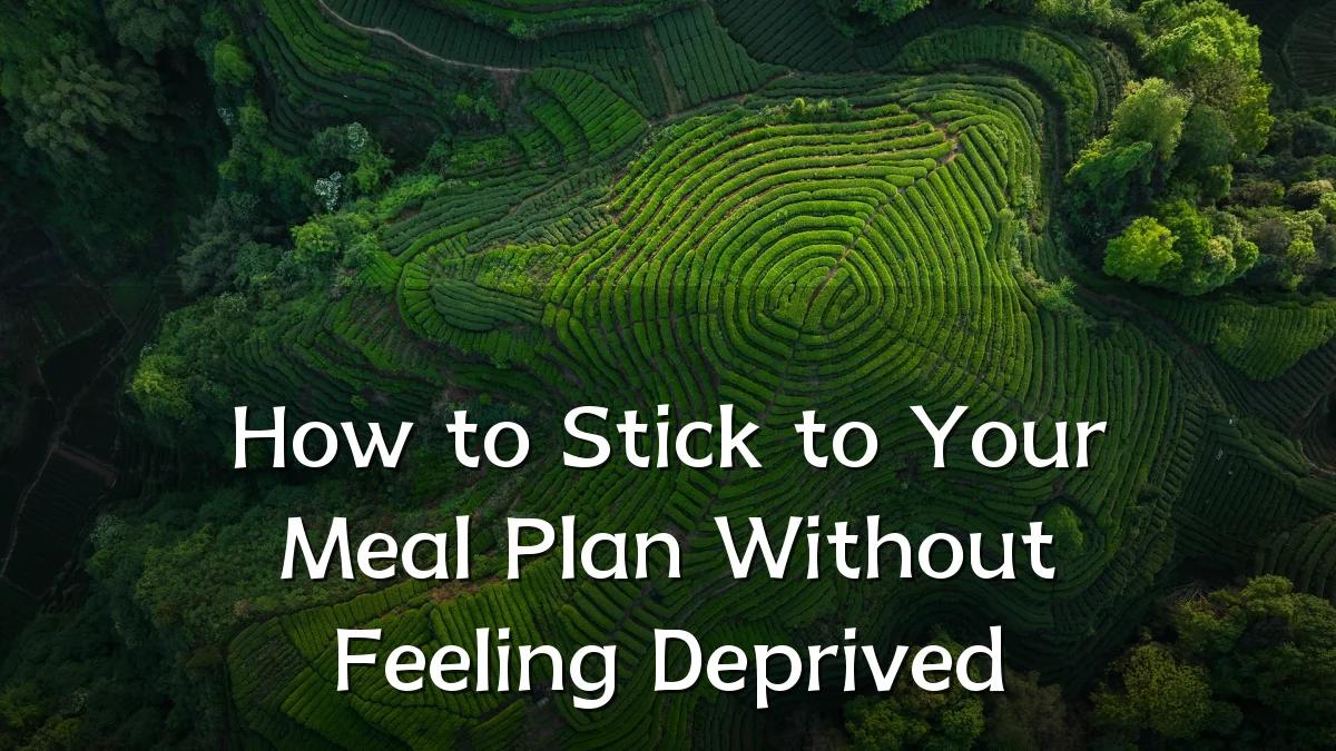 How to Stick to Your Meal Plan Without Feeling Deprived