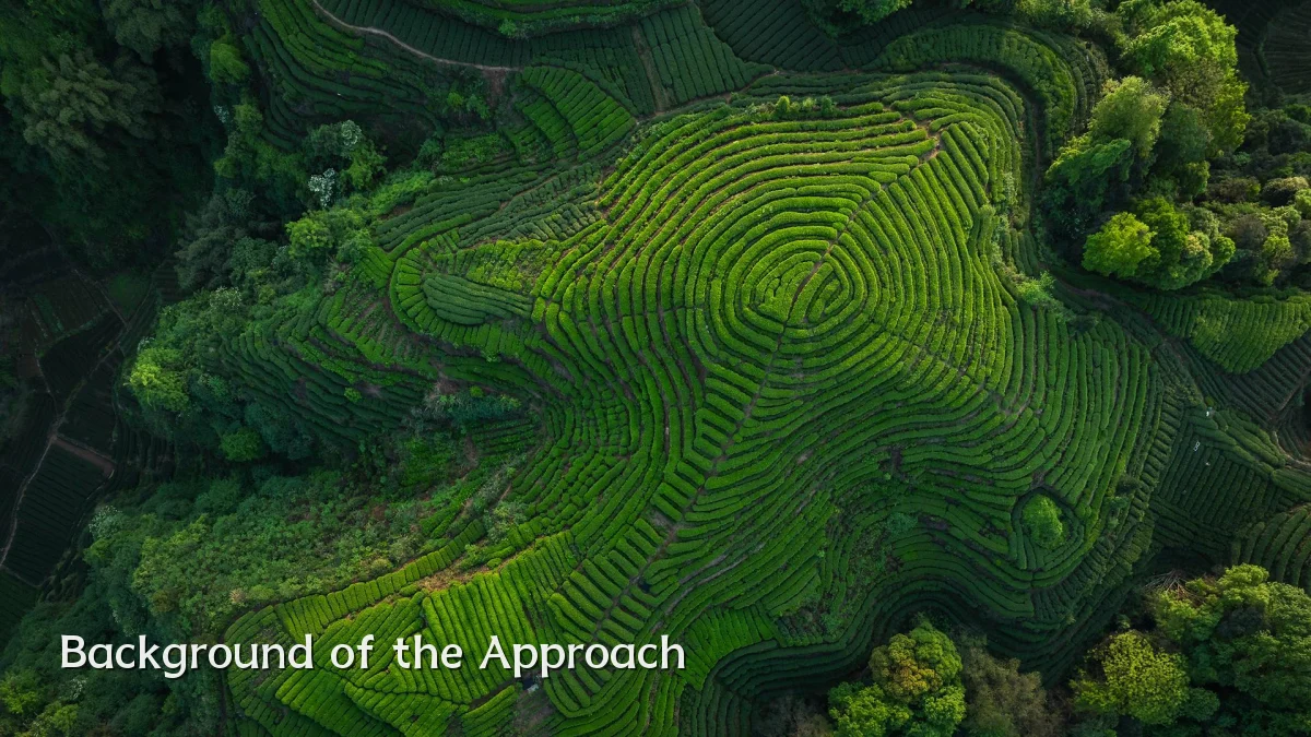 Background of the Approach