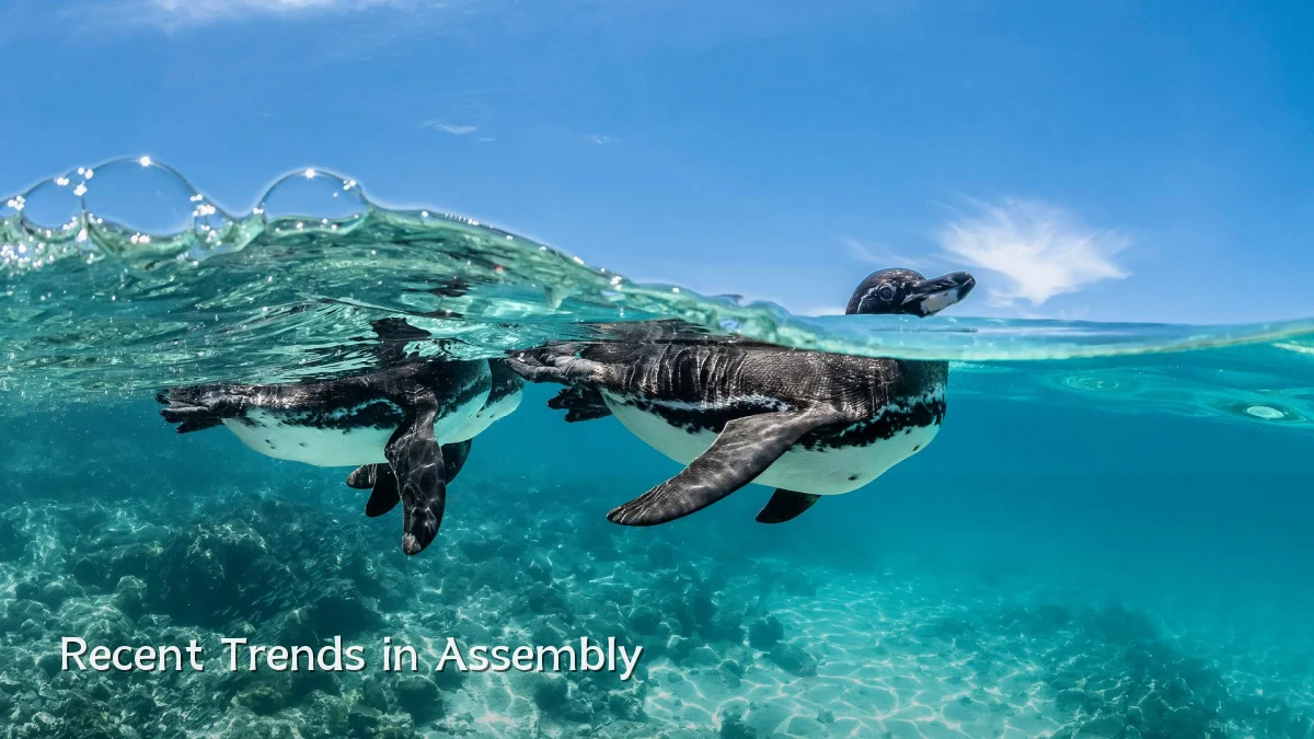 Recent Trends in Assembly