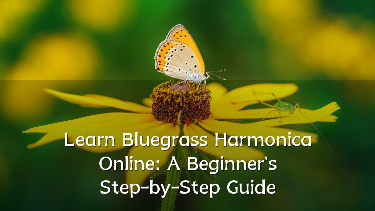 Learn Bluegrass Harmonica Online: A Beginner's Step-by-Step Guide